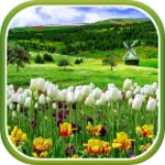 spring nature live wallpaper android application logo